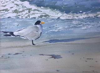article image - BulletinBeach Buddie by Kathleen Taylor (1)